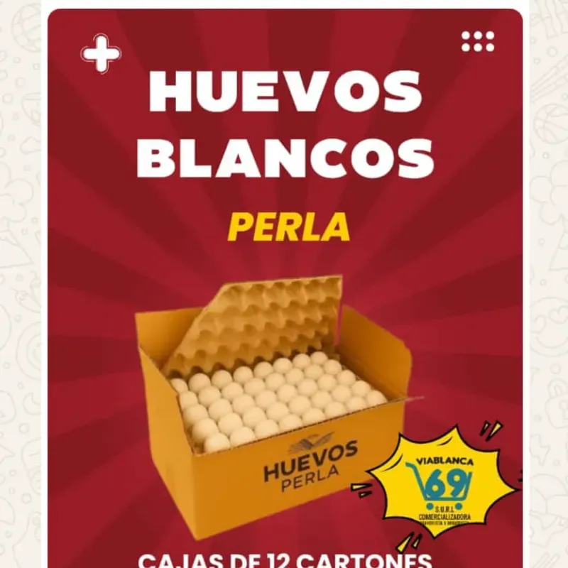 CARTON DE HUEVOS