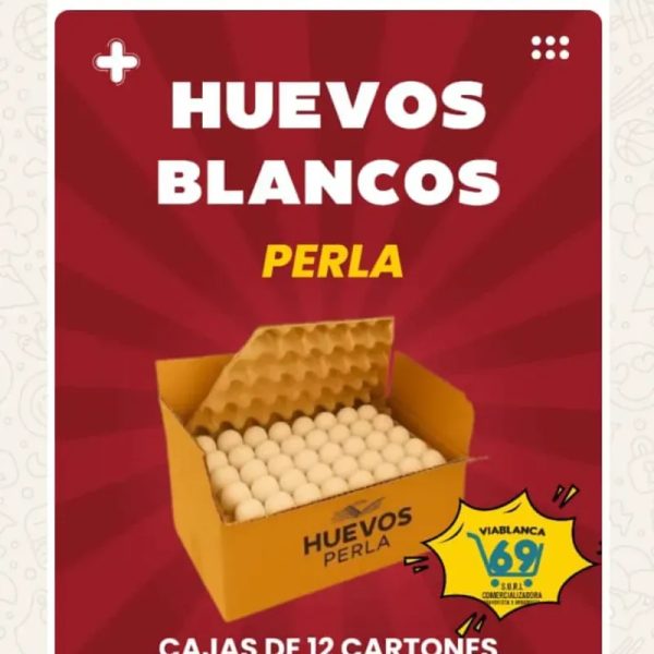 CARTON DE HUEVOS