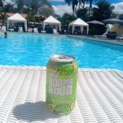 Refresco limón (330 ml)