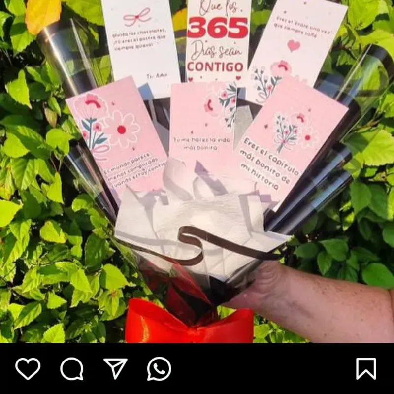 Ramo de 6 postalitas