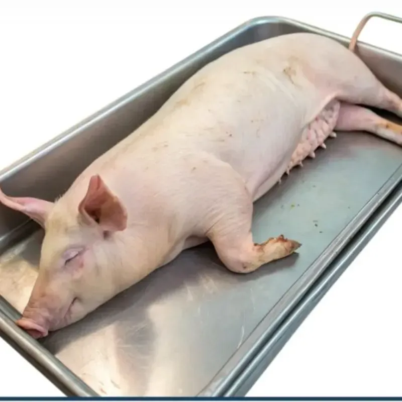 Cerdo entero preparado (por encargo)(lb)