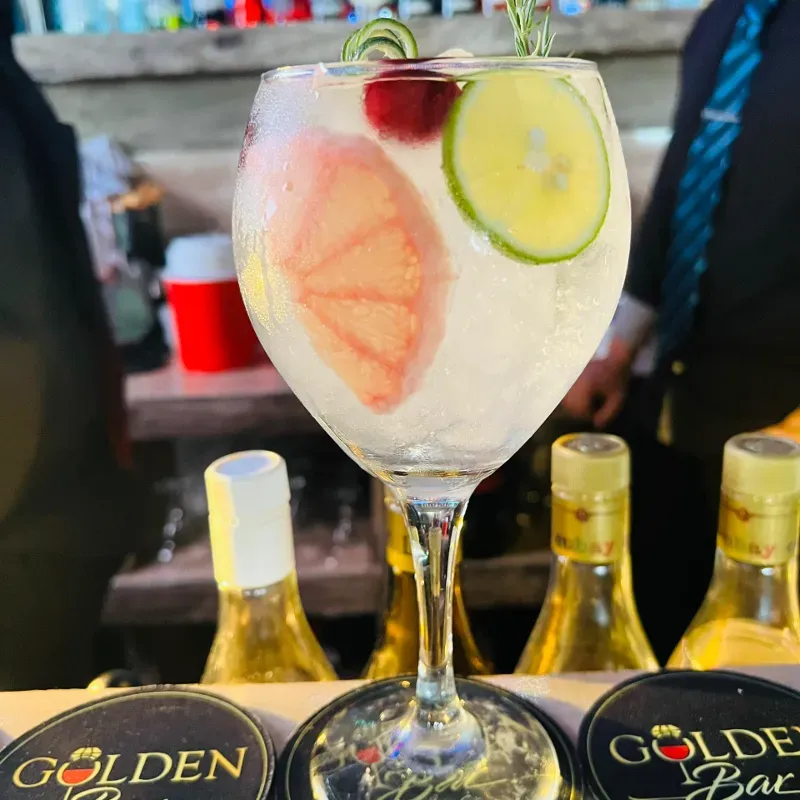 Gin Tonic con ginebra Imagination