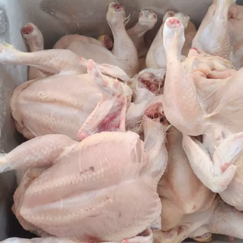 Pollo entero x pesaje