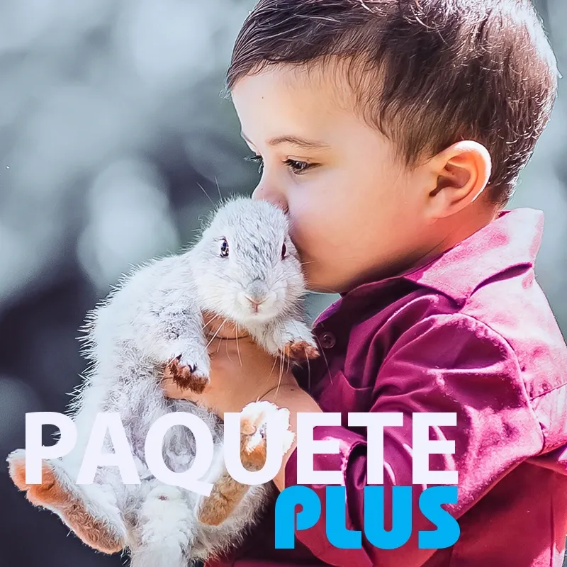 Paquete Plus