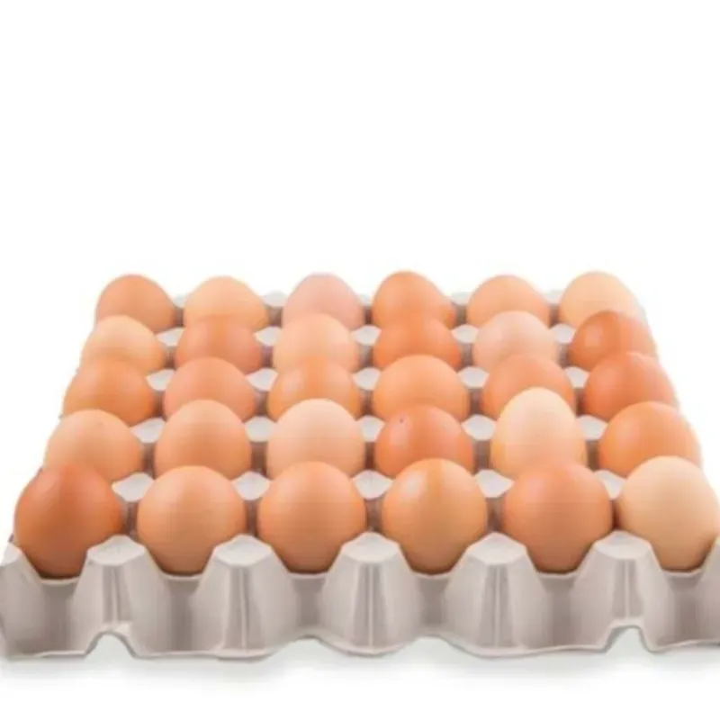 Huevos