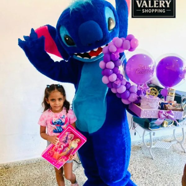 Entrega con stich