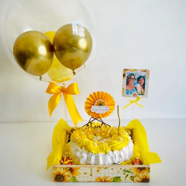 PASTEL 1