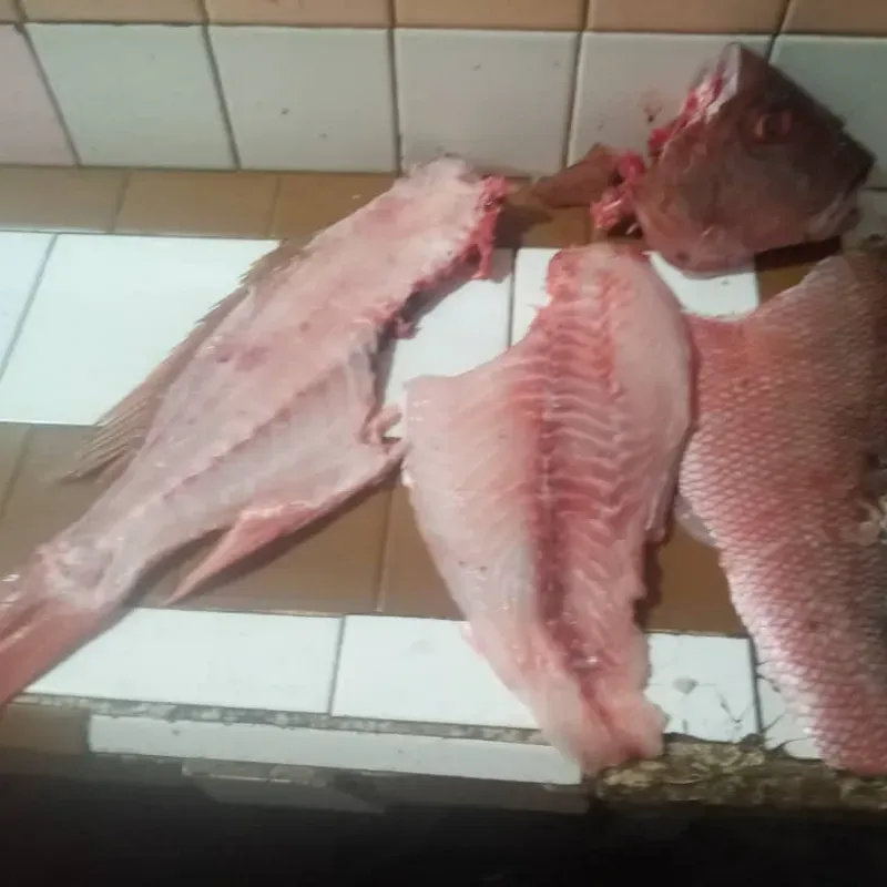 Filetes de Pargo 2lb