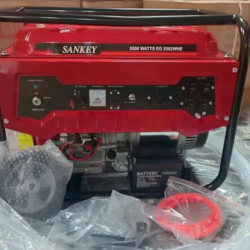 Sankey 5500 W. Dual Fuel