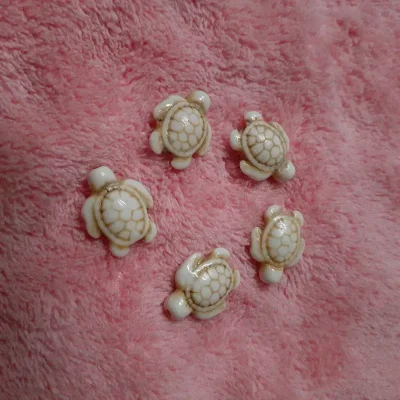 Tortugas turquesa blancas