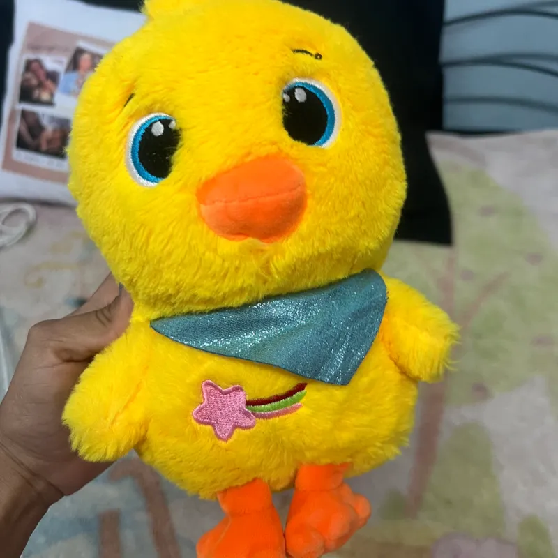 Pollito