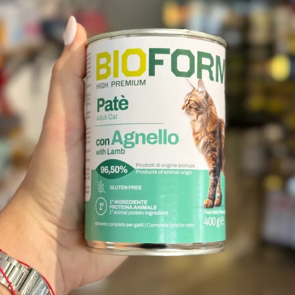 Paté de cordero para gatos
