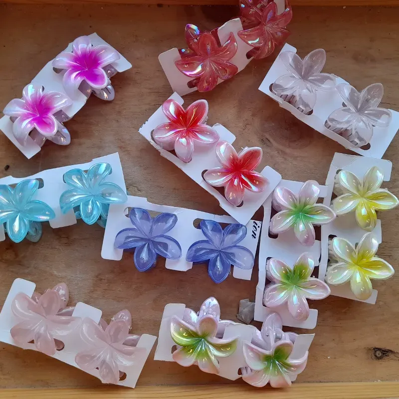 Set de 2 pellizcos pequeños