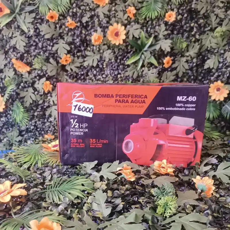 Bomba periférica para agua