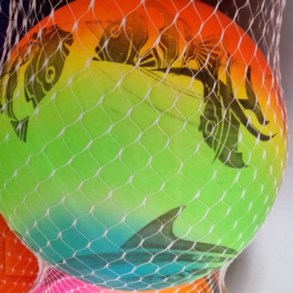 Pelota