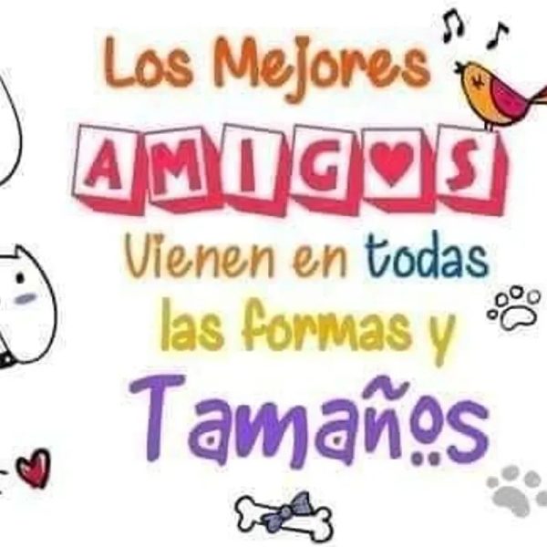 Amistad