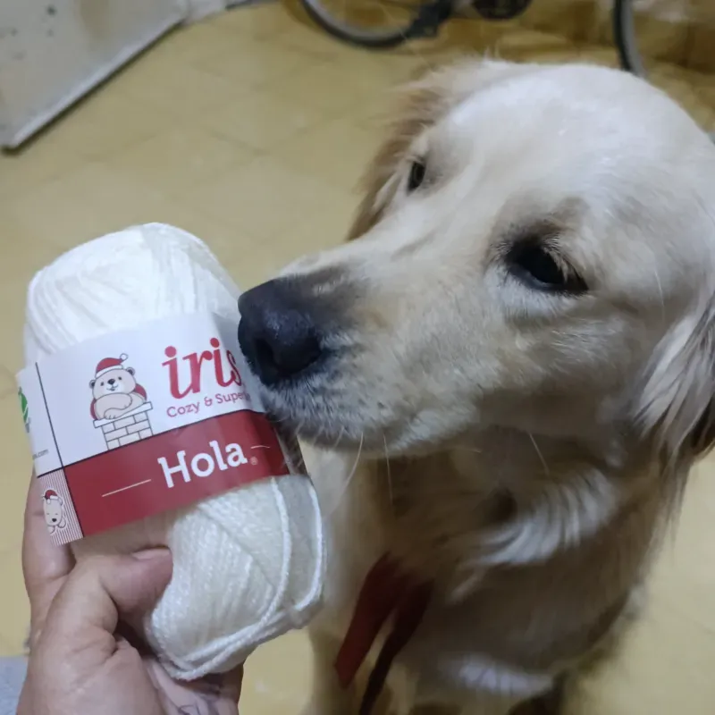 Hilo de estambre Iris color hueso amarillento