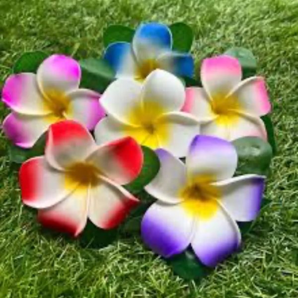 Flores para adornar el cabello.