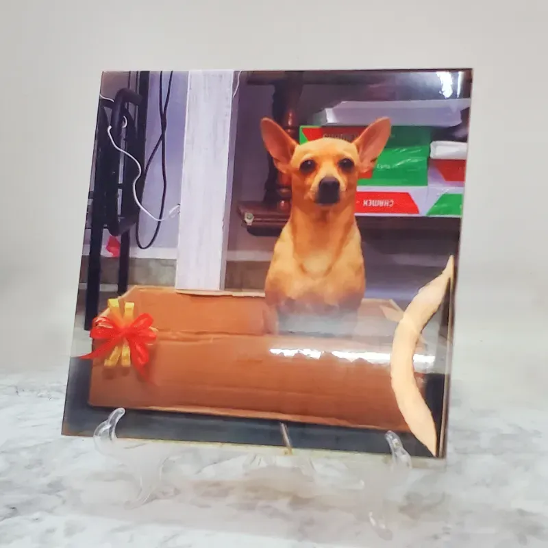 Loza de ceramica 20x20cm