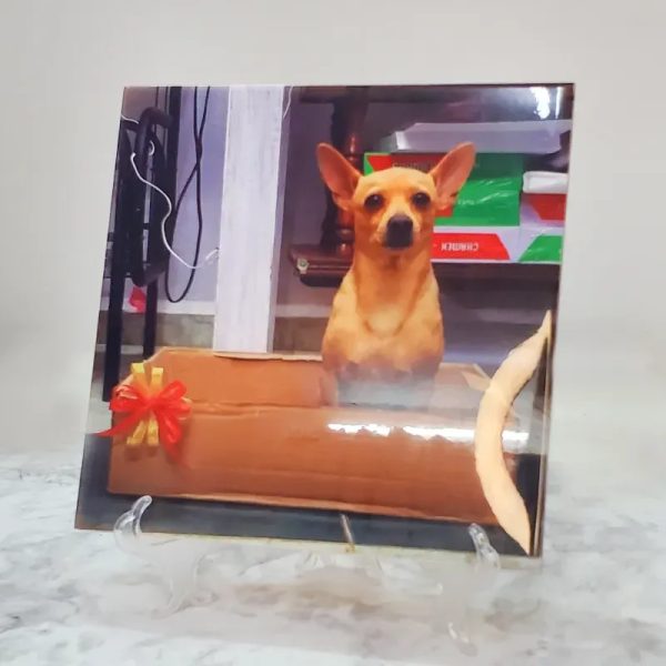 Loza de ceramica 20x20cm