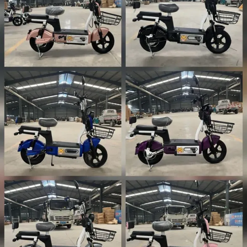 Bicimotos CH de 2️⃣ Asientos