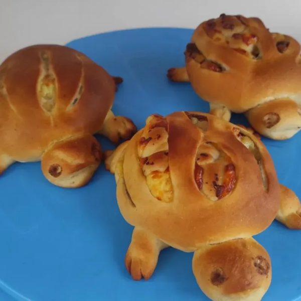 Tortugas