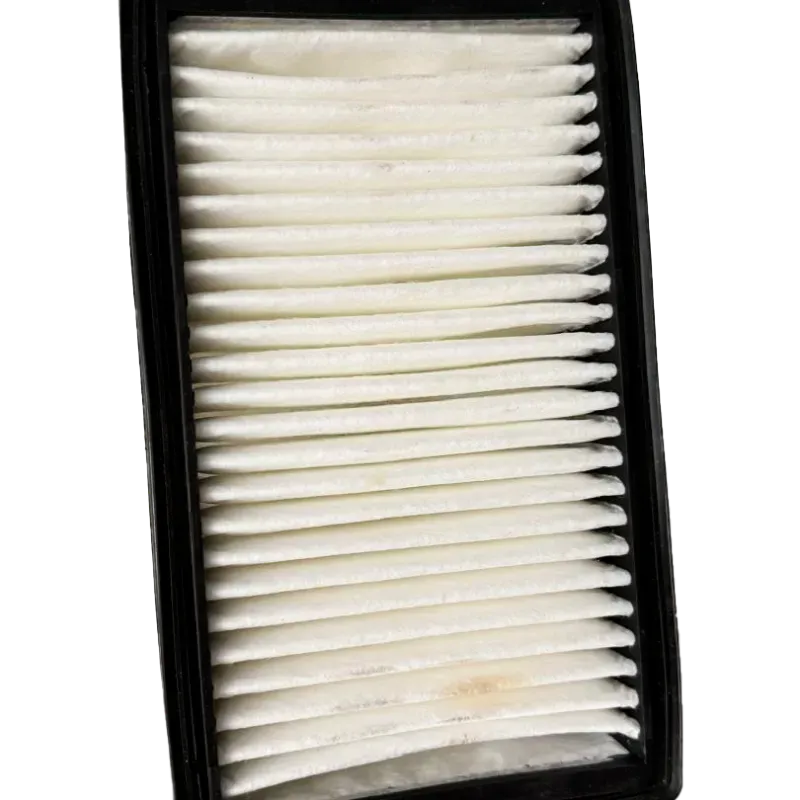 Filtro del Aire Acondicionado