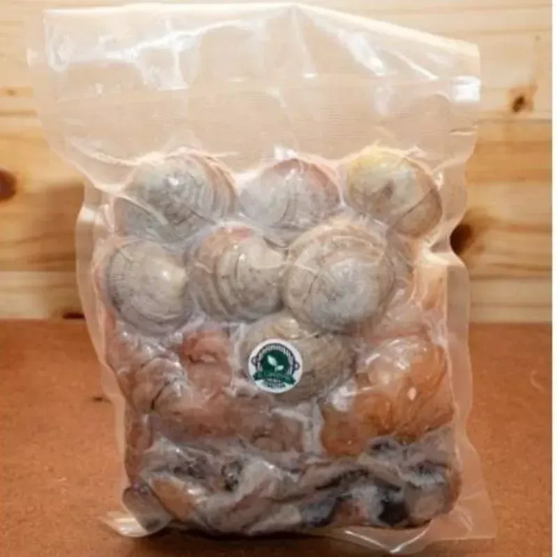 Kit paellero al vacío KG