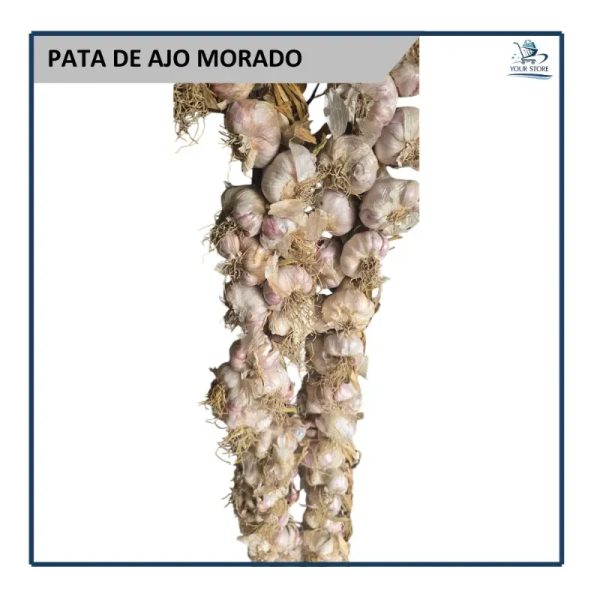 Pata de Ajo Morado