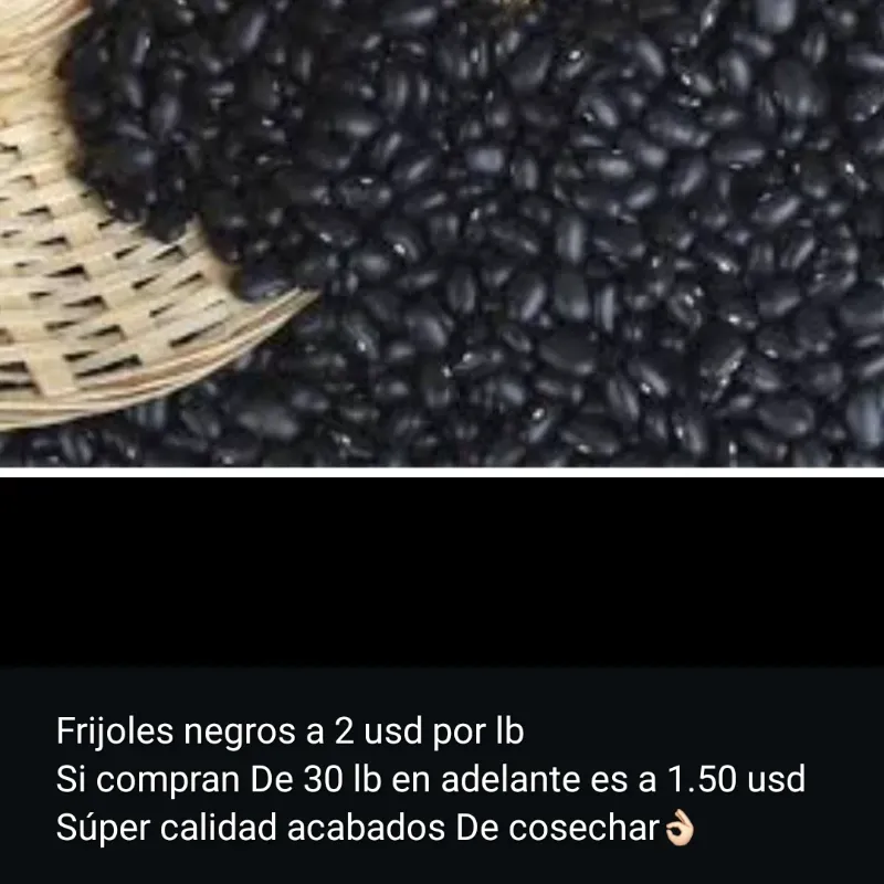 Frijoles Negros