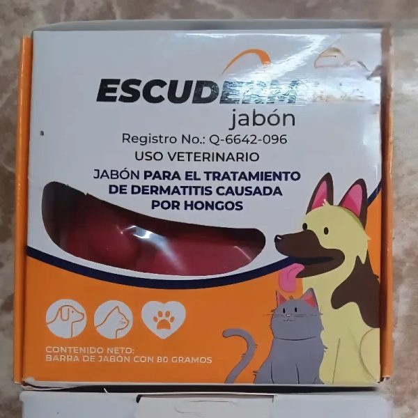 ESCUDERM JABÓN 100 g