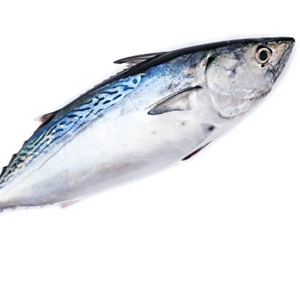 BONITO AL PLATO