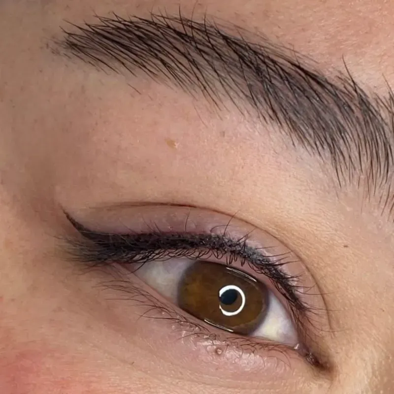 Delineado
