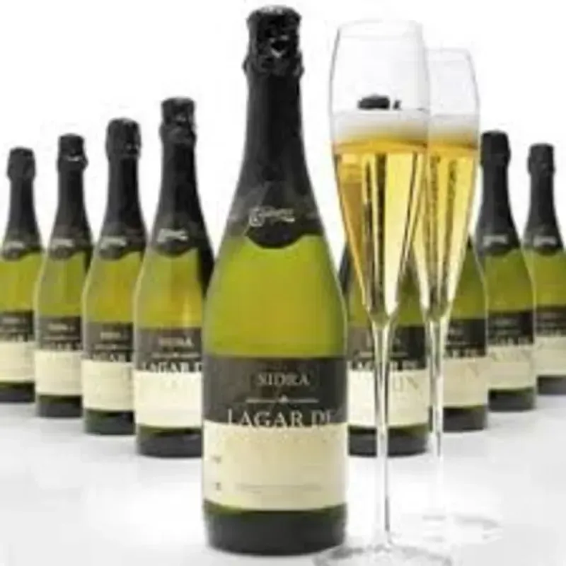 Sidra Lagar de Camin