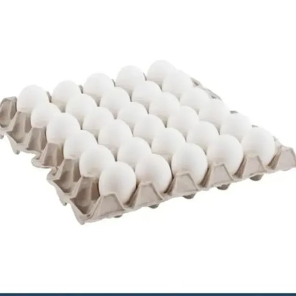 Huevos
