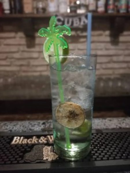 Gin Tonic