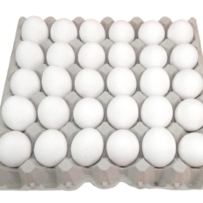 Cartón de huevo 30u