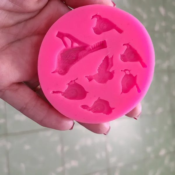 Moldes d silicona