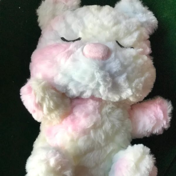 Osito Gordito