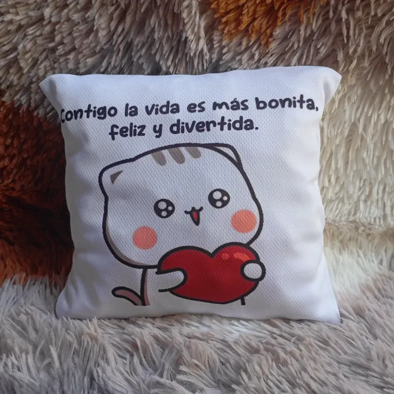 Cojín blanco pequeño