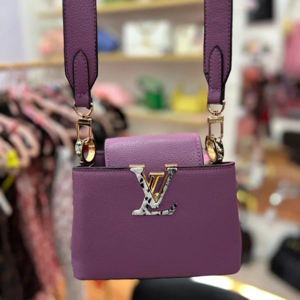 Louis V. 