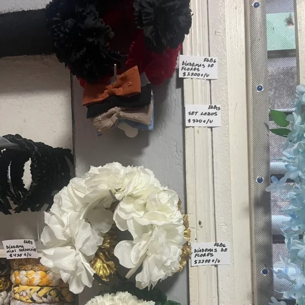 PRODUCTOS DISPONIBLES