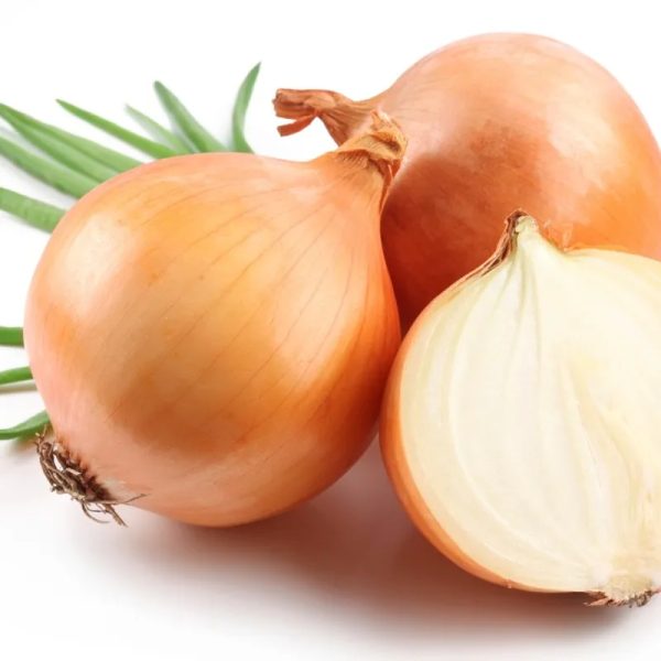 Cebollas 5