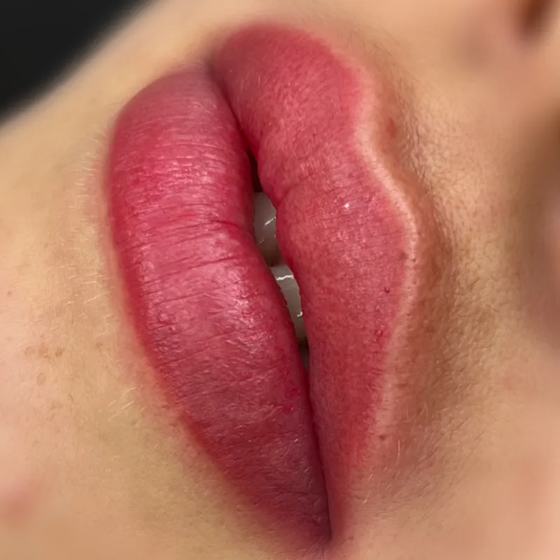 Perfeccionamiento del mes de micropigmentación de Labios 