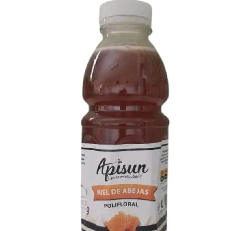 MIEL DE ABEJAS APISUN (500 g)