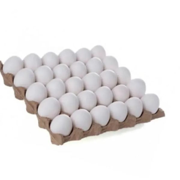Carton de Huevos