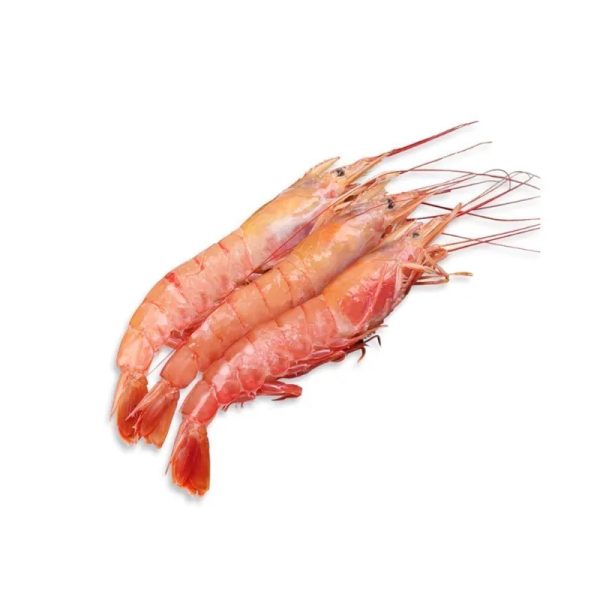 Camarón