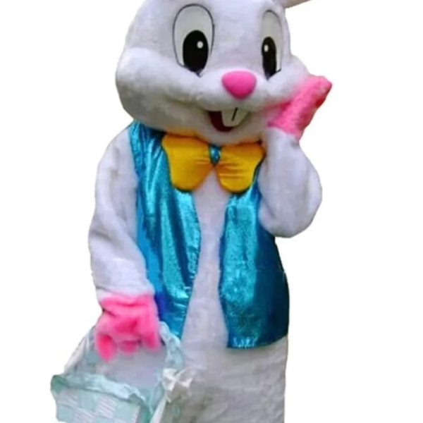 1: Bunny