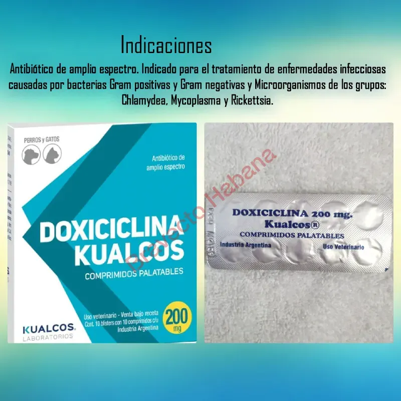 DOXICICLINA 200 MG (ANTIBIÓTICO)
