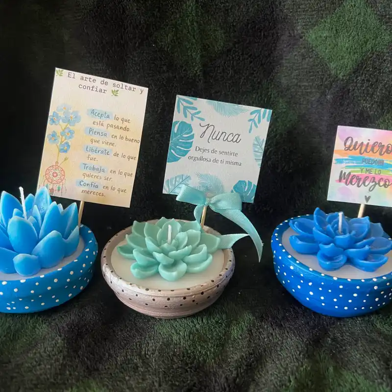 Macetas con frases positivas 3 